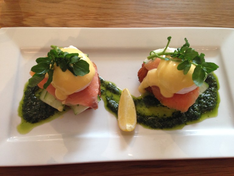 salmon + croquettes, the lovebird