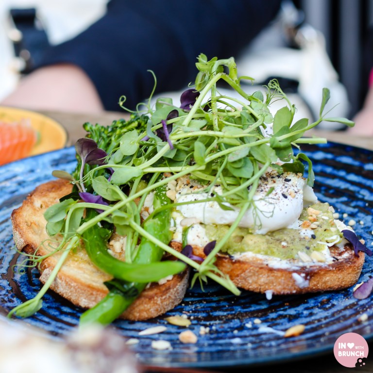 Long Story Short Richmond Smashed Avo (1 of 1)