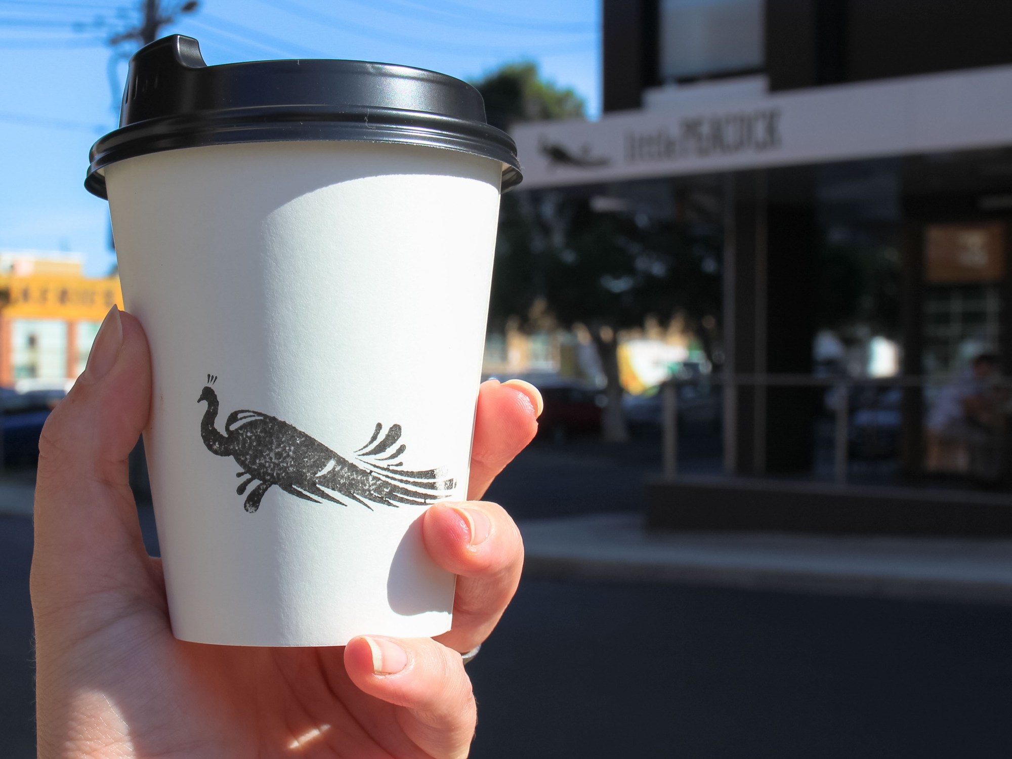 Little Peacock Brunswick Flat White2 (1 of 1)