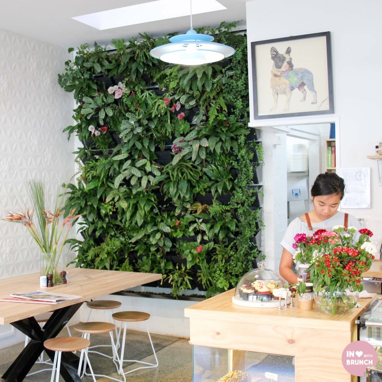 Little Sunflower Elwood Interior (1 of 1)