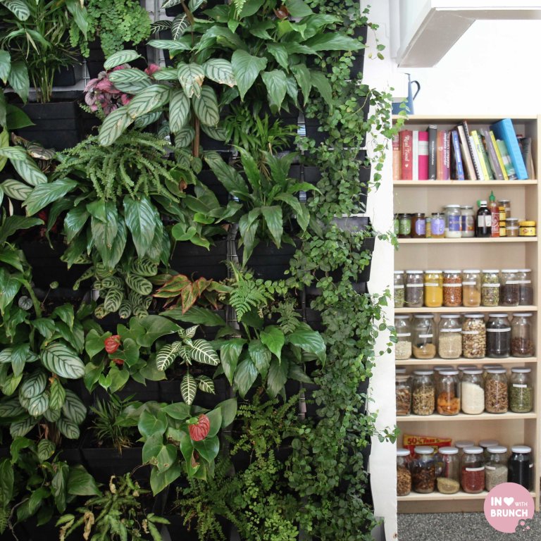 Little Sunflower Elwood Interior3 (1 of 1)