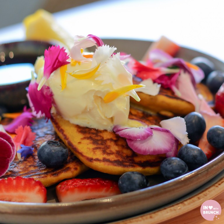 Little Sunflower Elwood Pancakes2 (1 of 1)