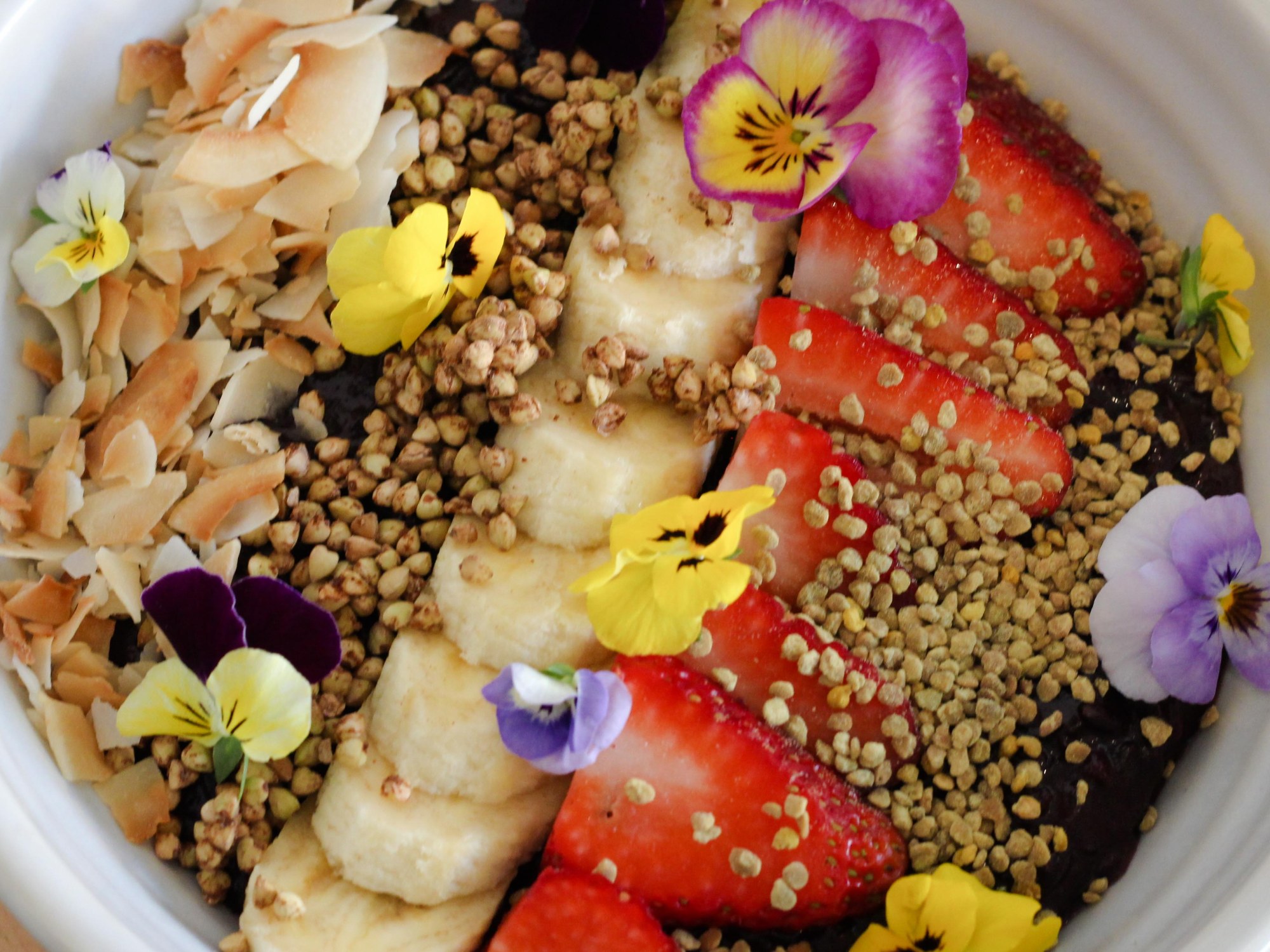 Little Sunflower Elwood Rice Pudding3 (1 of 1)