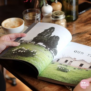 Scarvelli book2 (1 of 1)