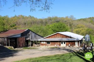 Noble Spring Dairy Franklin Goat Farm