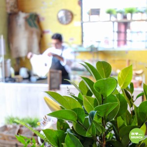 Pavlovs Duck Collingwood Interior (1 of 1)